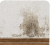 Exemple visuel de humidité sur un ouvrage